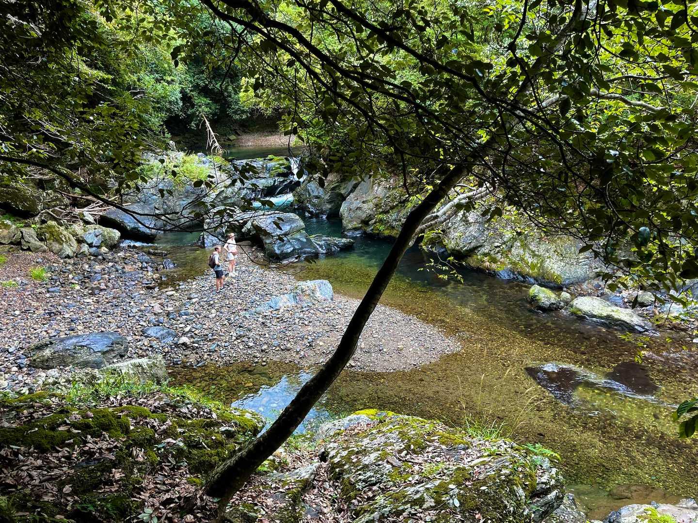 栂尾町バス停-槙ノ尾バス停-六丁峠 縦走コースの写真