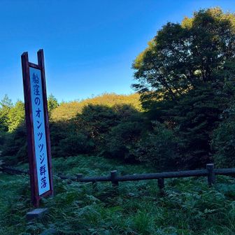 またオンツツジが咲く頃に来ないとね