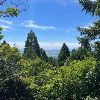 赤ルート上にある展望台は、
このイワイワ、ゴツゴツのテッペンだった。