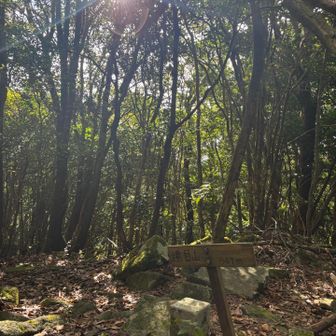 遠目山到着⛰️