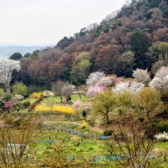 ②綺麗🌸🌼🏕️