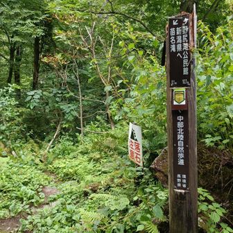 今日の一番の楽しみ『苗名の滝』が近い。
