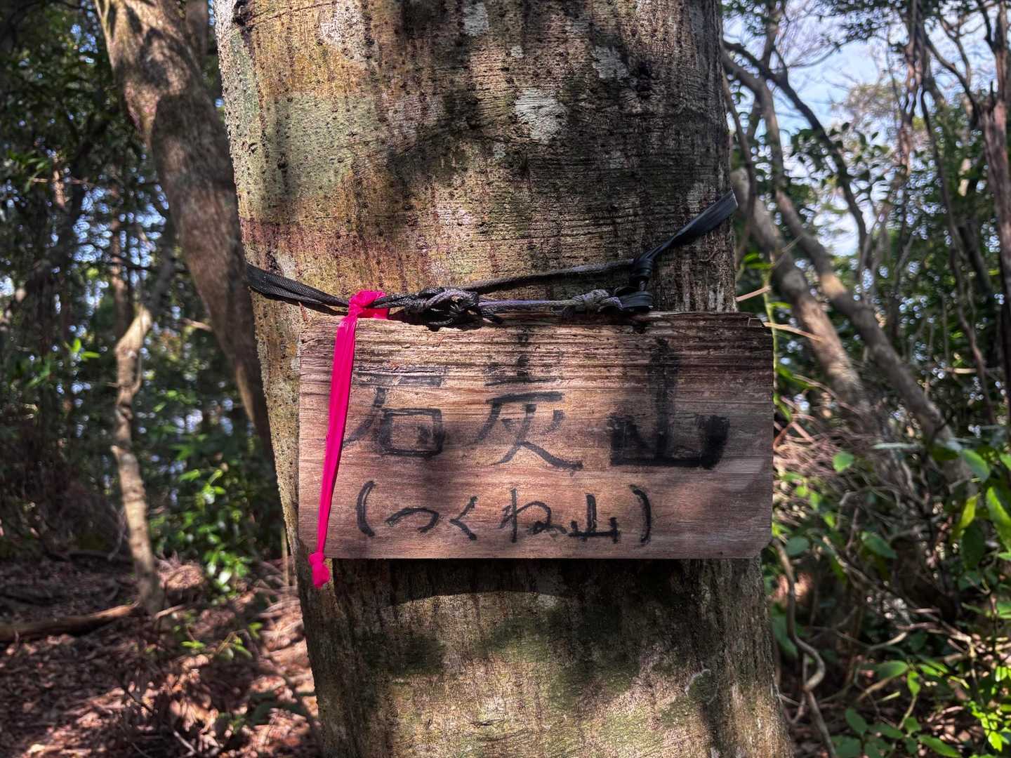 急登の石炭山
このエリアは急登だらけなのかな🤔
