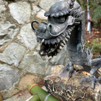 口から水が出るはずですが
寒さで凍っていました🧊