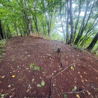 守屋山中獄山頂(1643m)です！