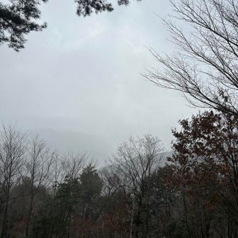 何も見えねぇー！！🤣

北島康介風に言ってみる(笑)