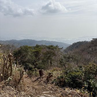 六甲山・長峰山・摩耶山 登ってきた道筋
よくここまで来れたな