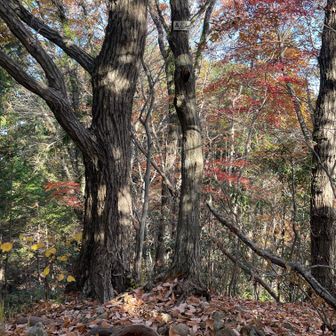 7座目 高岩山
５００m