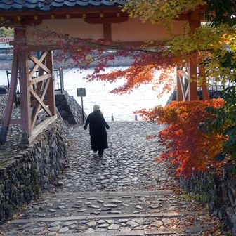 浮舟と匂宮は、薫を介して出会い、薫への想いと匂宮への情熱の間で揺れ動く浮舟の悲劇的な恋の相手
匂宮は薫と恋敵となり、薫を装って宇治の山荘で浮舟と関係を持ち、情熱的なアプローチで心惹かれた浮舟は、やがて薫と匂宮の間で板挟みになり、入水自殺を図る
(写真と本文は無関係です😋)