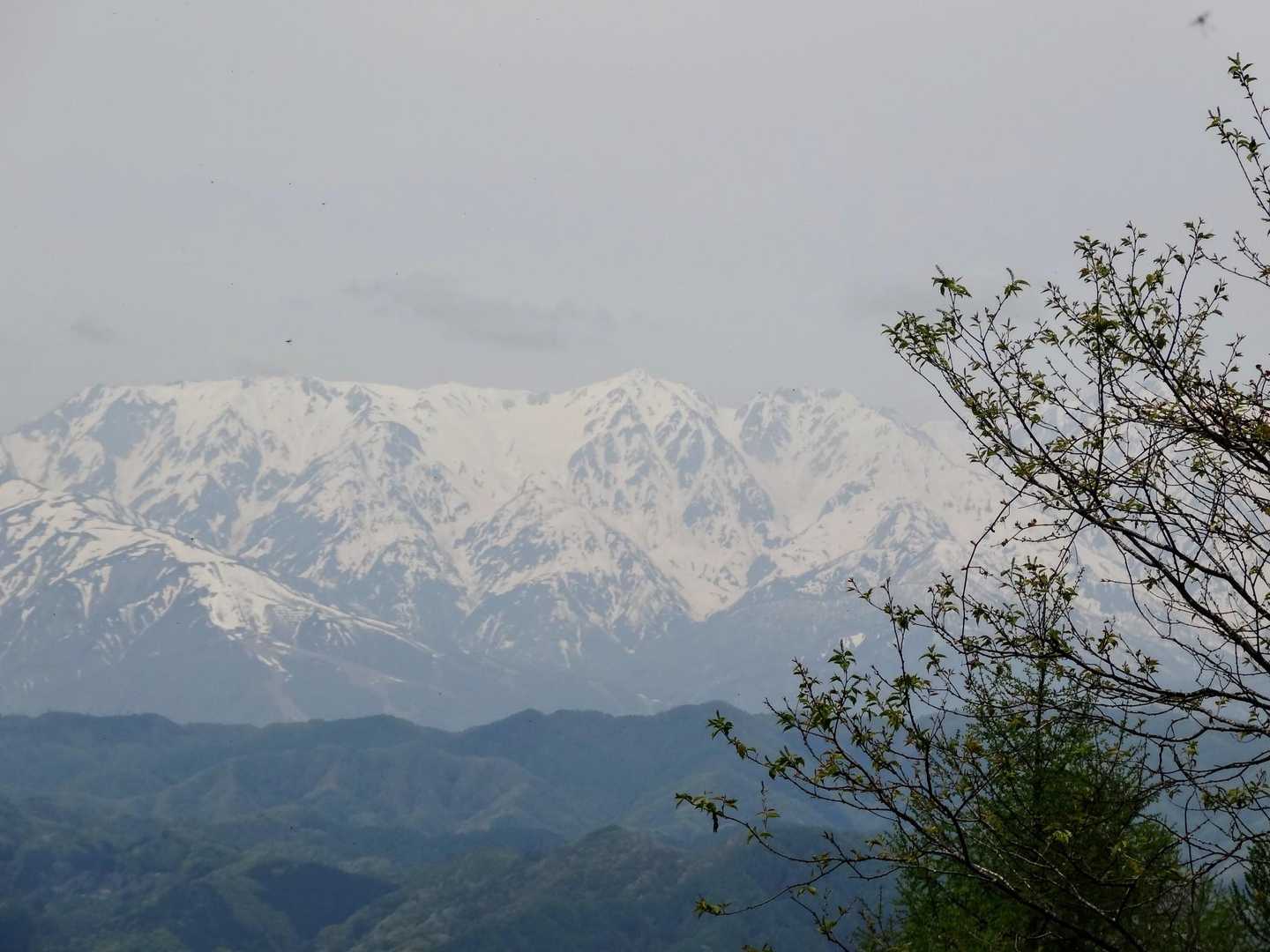 虫倉山登山道入口-虫倉山 往復コースの写真