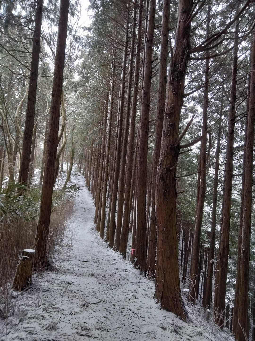 背筋の延びる思いです