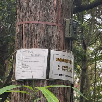 自然観察用のカメラ。他にも巣箱なども設置されていました
