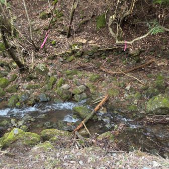 急坂の最後は渡渉です。