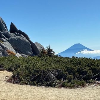 薬師岳山頂からの富士山
