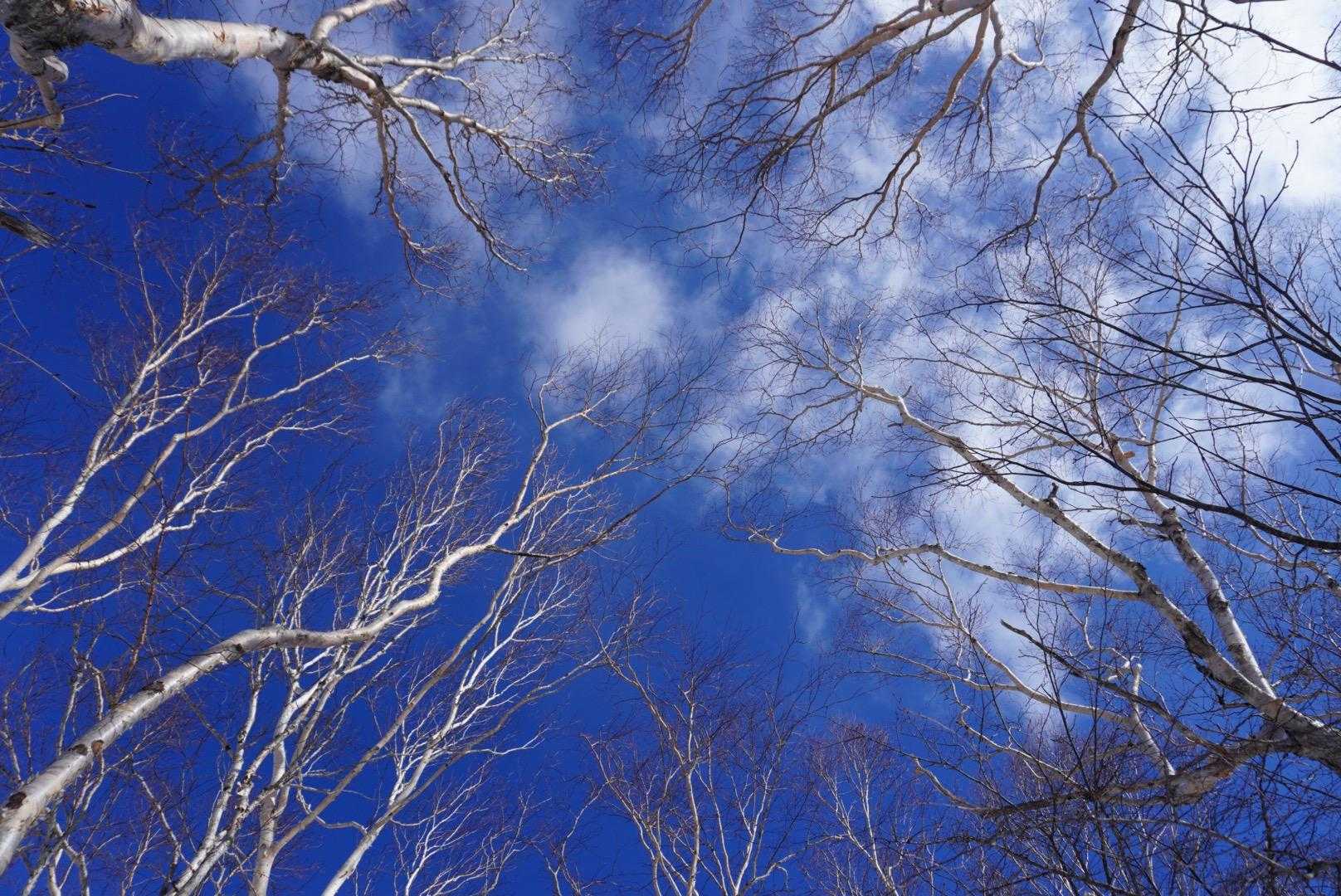 青空気持ちいい💙💙