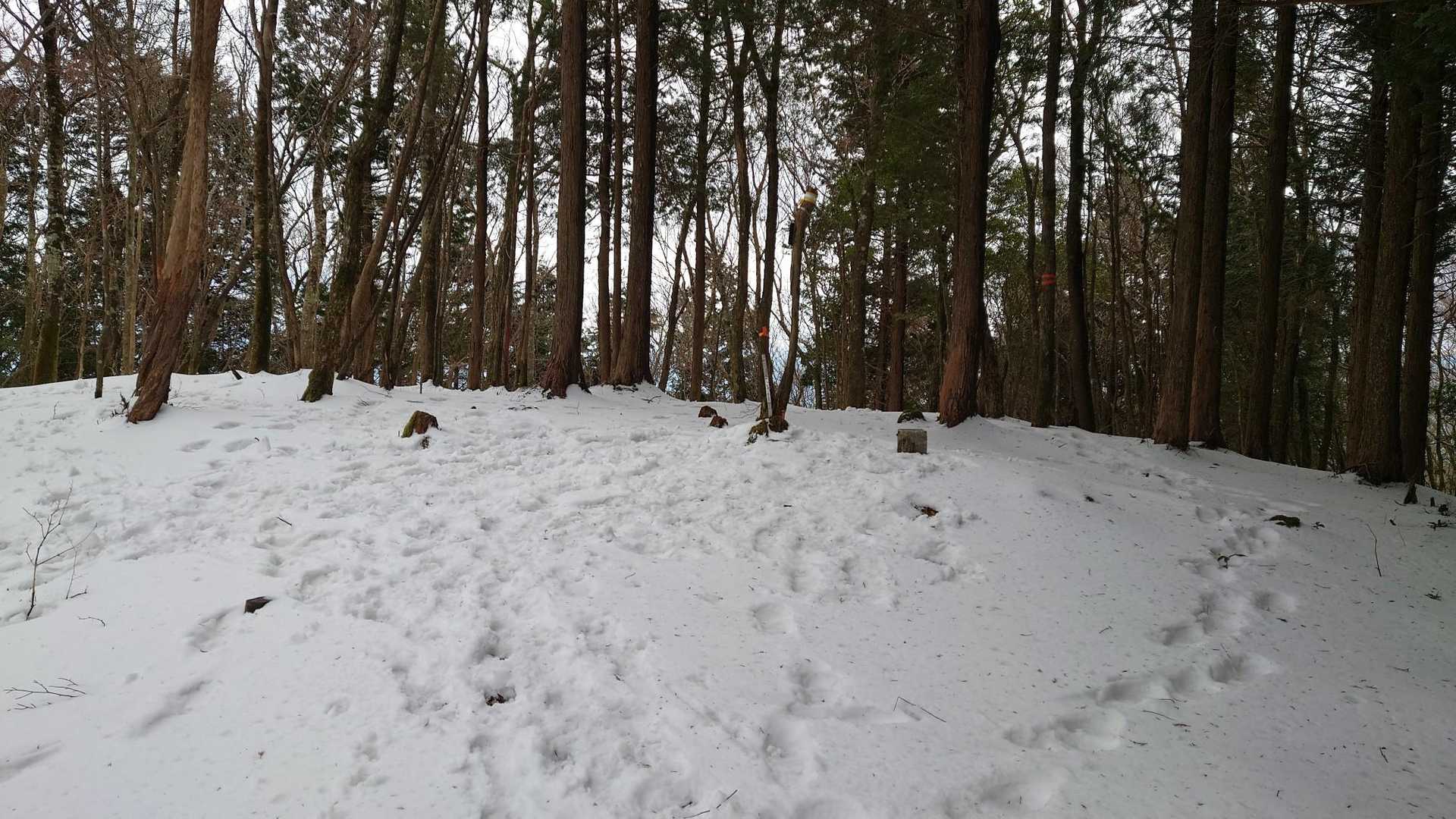 福見山-明神ヶ森 往復コースの写真
