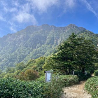 🤩出ました