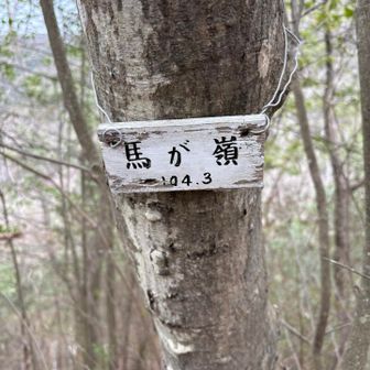 ６０座目
ラストです