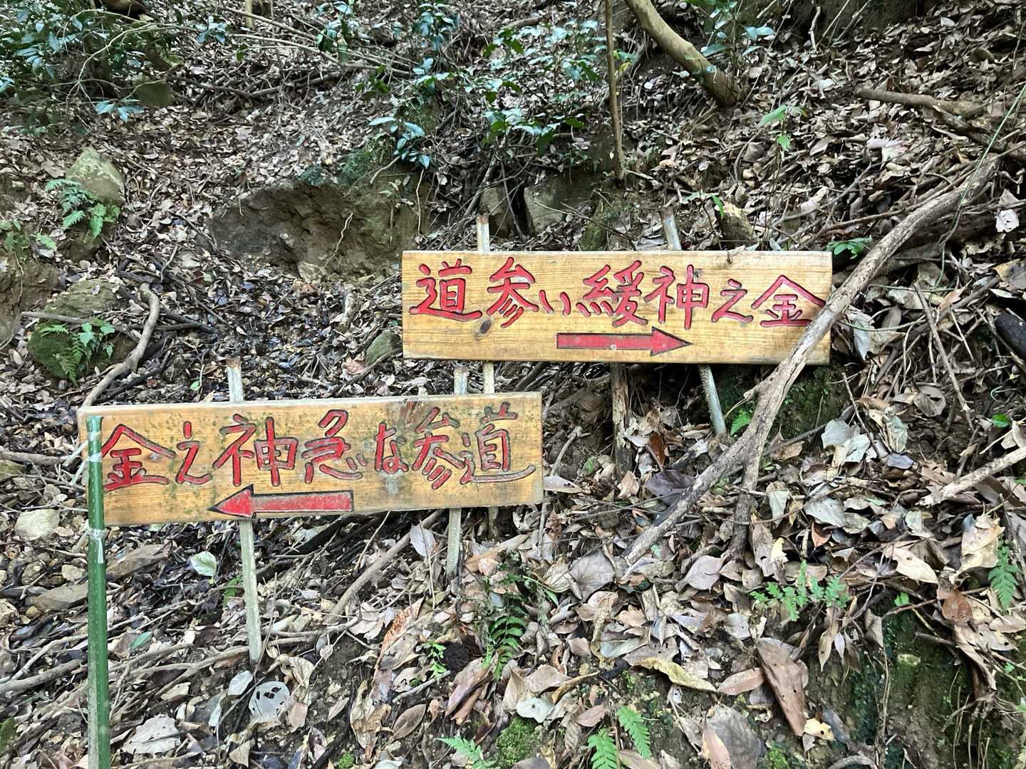 もちろん右➡️っすよ