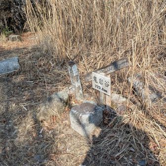 ようやくついた
ここからは下りが多くて比較的楽なんだけど
今日はダラダラ歩いてしまう😅
ダメダメな日です