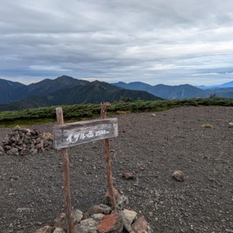 昨日と大違い！