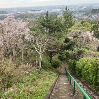 ずっと先に天気良ければスカイツリー見えるらしい。