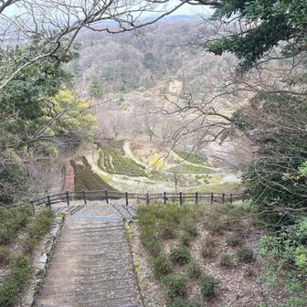 下手に下るとどこに出てしまうのか分からないのでピストンします😆