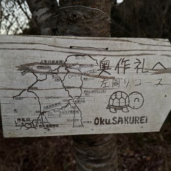 ここから奥作礼左周りコース