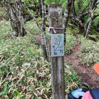 案内ℹ️板がありました

案内板を皆で確認したよ
鳥居峠より先は
最近女性が滑落事故死したそうです
かなりの痩せ尾根だそうです
もちろん3人とも行きません
