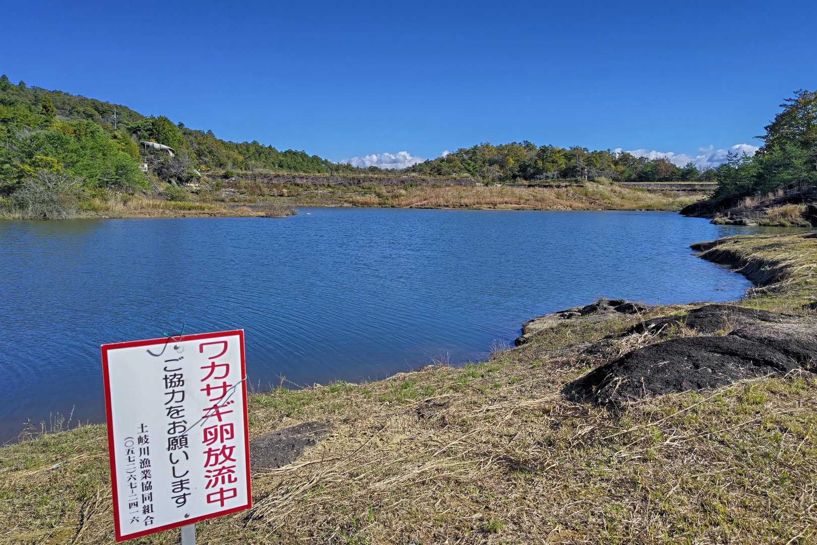 水位はこんなものなのかな🤔
ワカサギいるのですね𓆜
