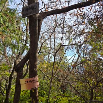 新明山　218m
見落としてしまいそうな標識