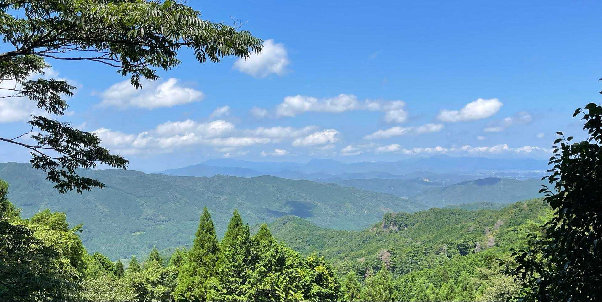 途中唯一景観が楽しめたスポット
目の前に龍ヶ鼻、左奥に福智山が見えます☺️