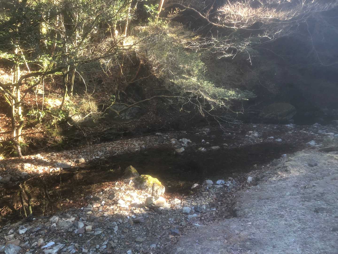 行縢山登山口-雌岳-行縢山 周回コースの写真