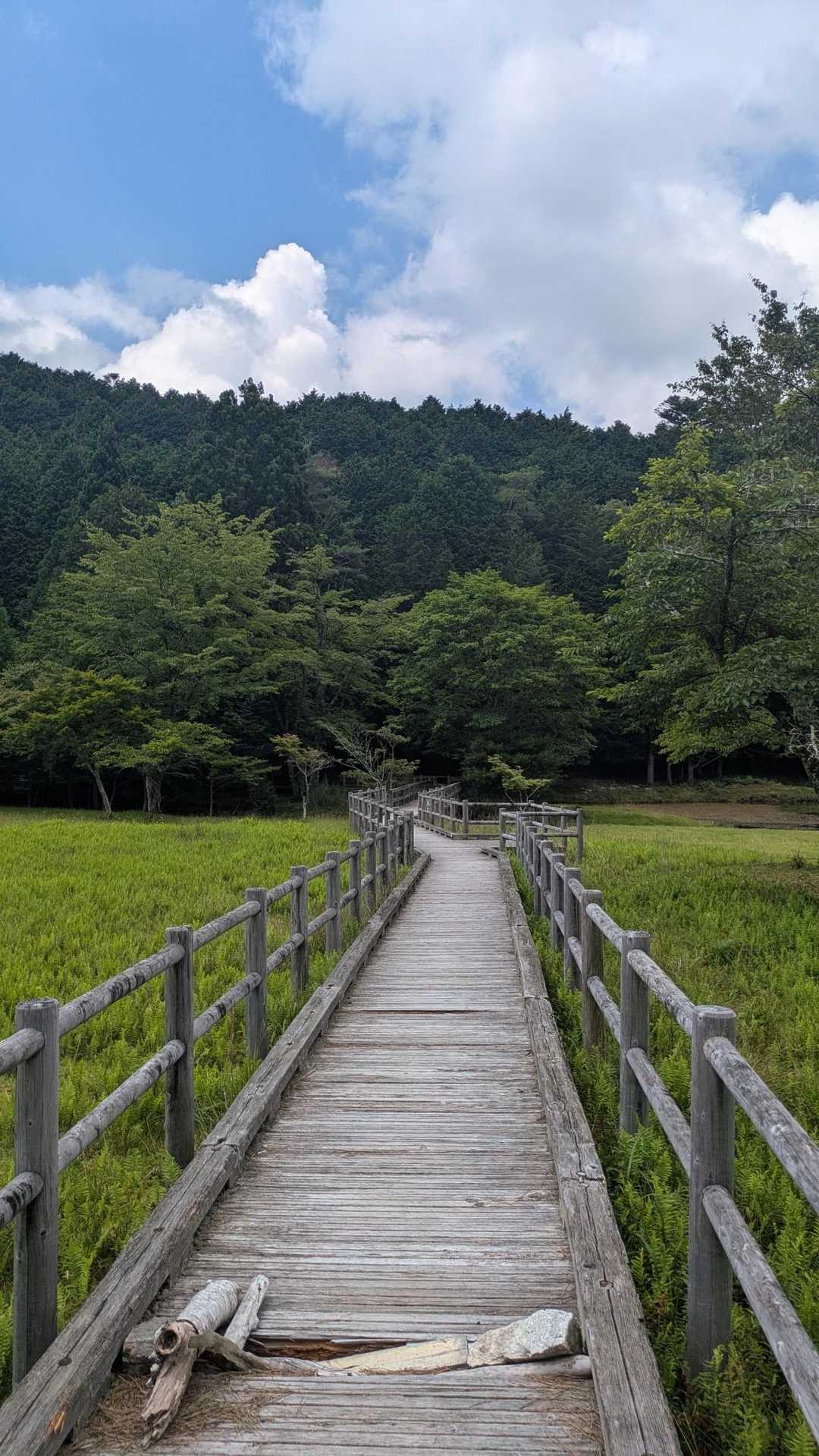 出来山 往復コースの写真