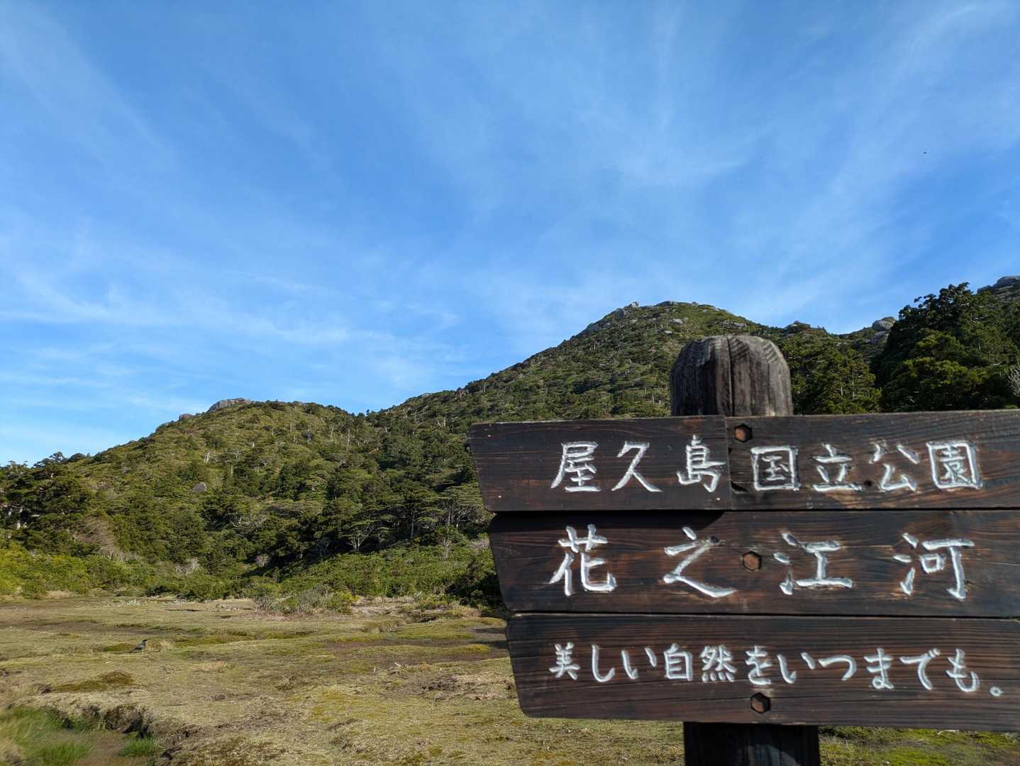 青空と緑が綺麗🌲
