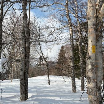 今日は偵察のみのつもりで遅いスタート
上下ワークマンの貧弱ウェア
のんびり歩きでカメラぶら下げて