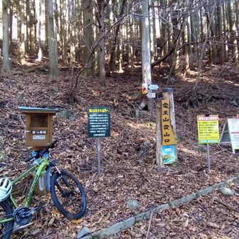 おお！ここまで自転車で来てる人がいる👍
