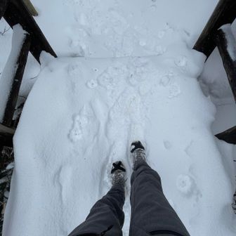 久しぶりの雪の中。
心細いと楽しいが、行きは半々だったのが戻ってくる頃には楽しいが9割になっていました🤗