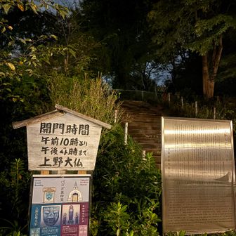 大仏山登れず🥲

ピークは取れたけど山頂に行きたかった💦