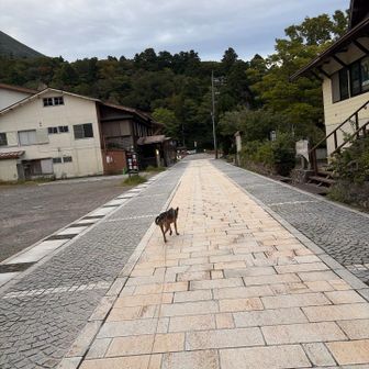 誰もいない…