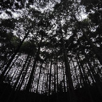 今日はだんだん気温が下がるという予報ですね