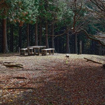 すぐ北峰のベンチが見えてきた
