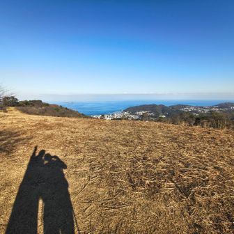 ドーン！相模湾👥