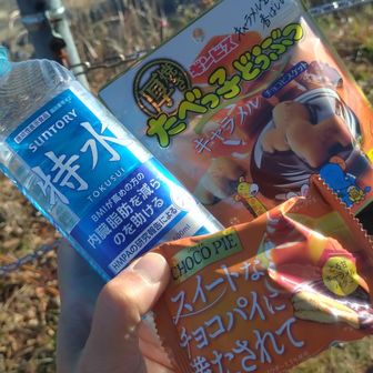 プラスマイナス、ゼロ！