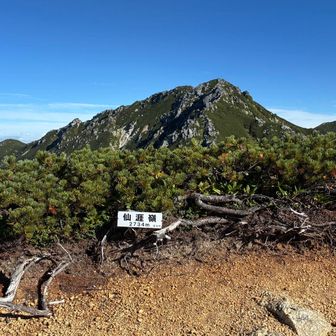 仙厓嶺山頂