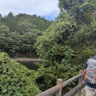 再度公園には向かわず、高雄山も巻く。
今日はピークなしの大人のゆるハイキング