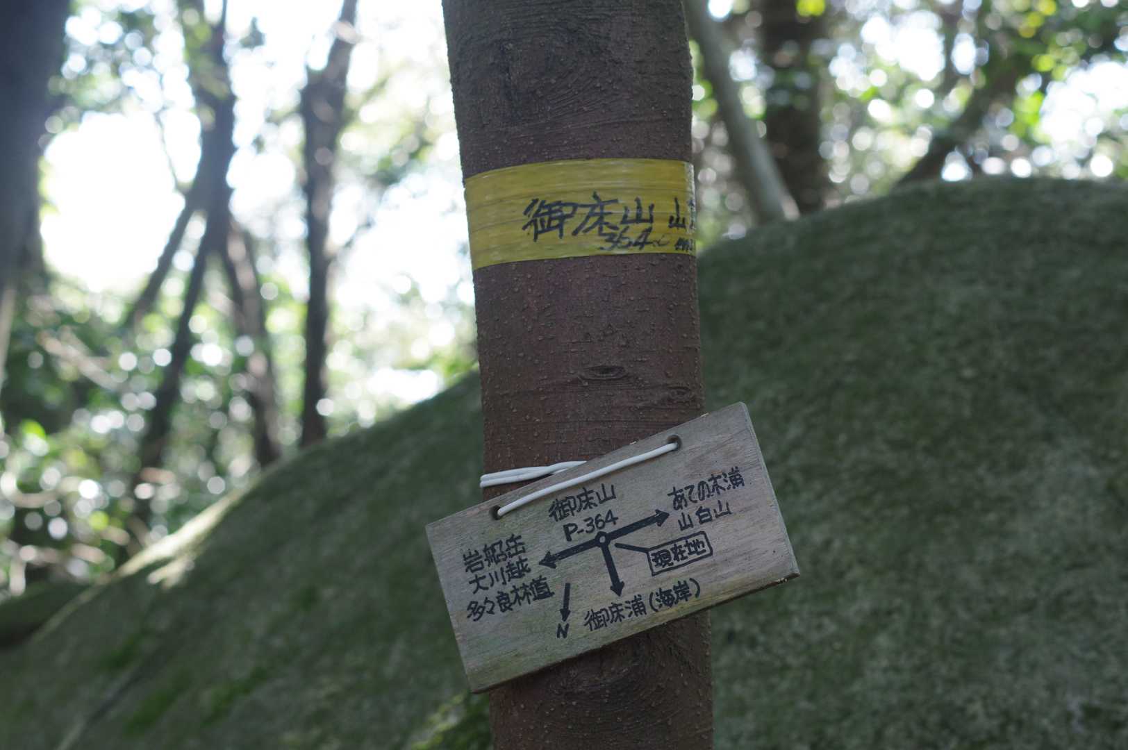 3分遅れで御床山。さ、ここからが今日の本番です😁
