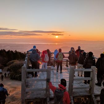 今年も良い年でありますように🙏