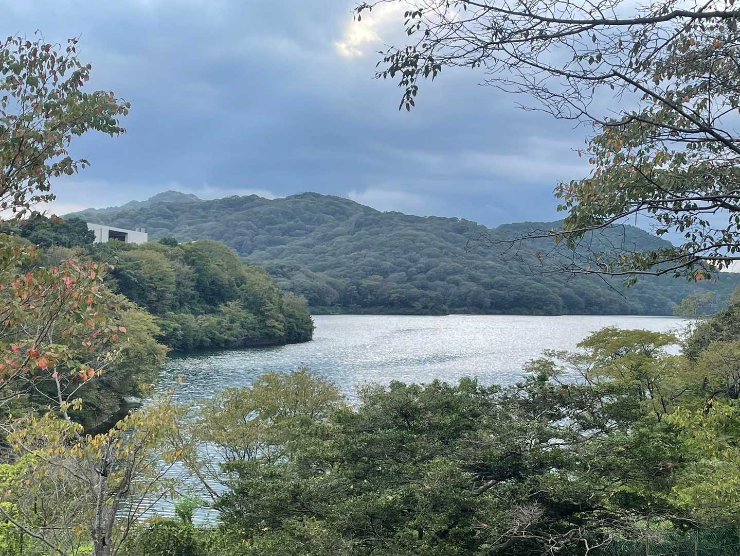 うわぁ✨キレイ✨