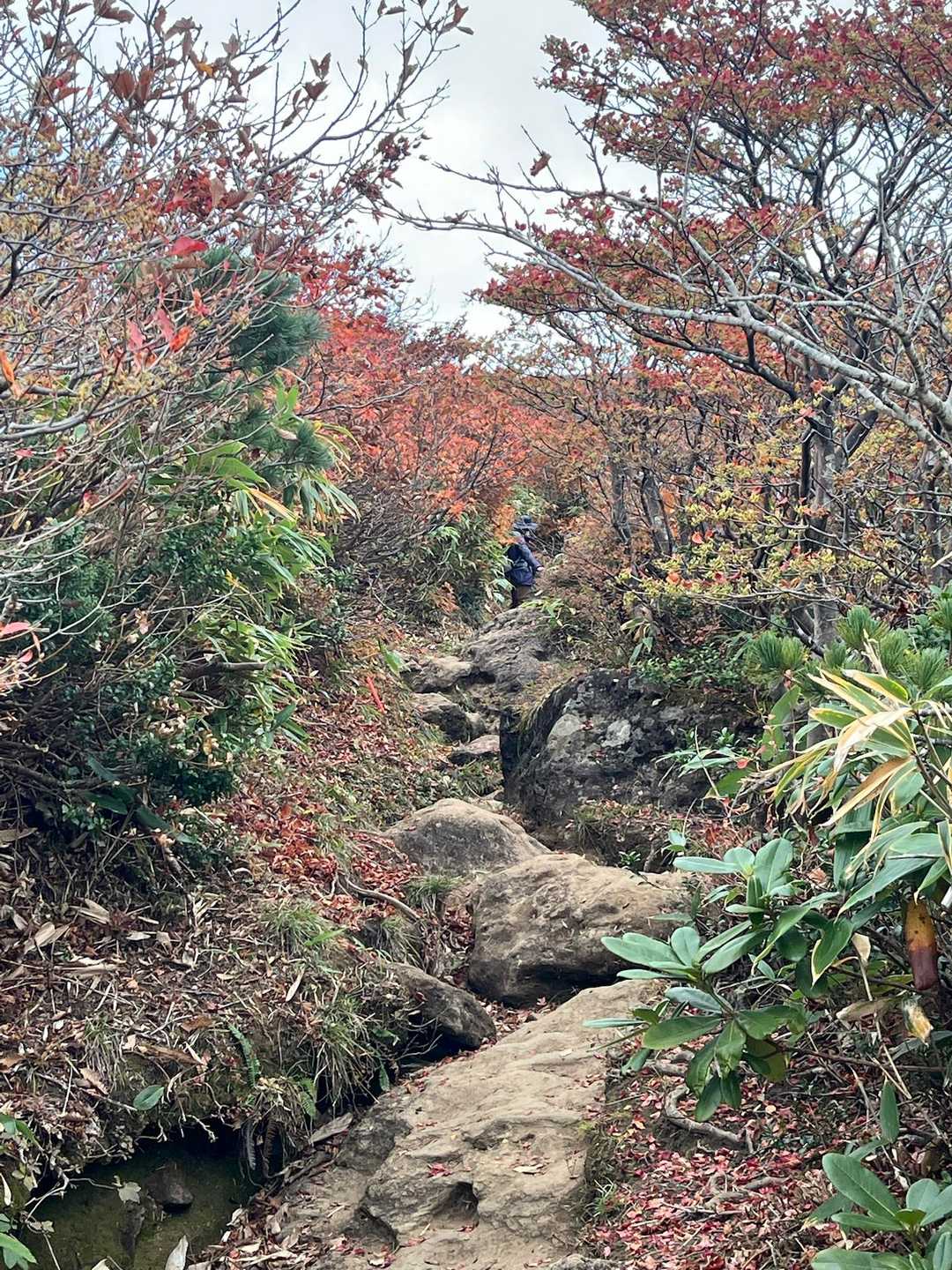 登山口から岩場
足元も滑った跡がたくさんあるほどのグチャグルメ具合
